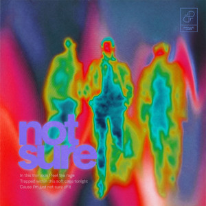 Not Sure by Prana Flow, panz., True Motion
