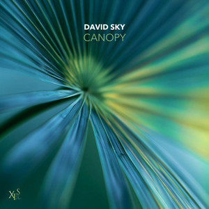 Canopy by David Sky