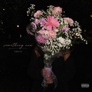 Something New by 2Real