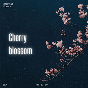 Cherry Blossom
