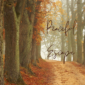 Peaceful Escape album