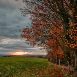 October Twilight (Jesienna Samotność) by Dariusz Hasiak, Darius H