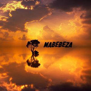 Hade cover
