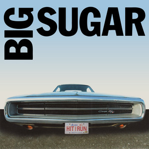 Diggin' A Hole by Big Sugar