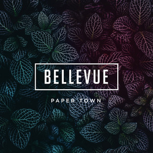 Paper Town