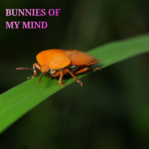 Bunnies of My Mind by Sendakure