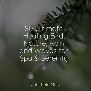 80 Ultimate Healing Bird, Nature, Rain and Waves for Spa & Serenity album