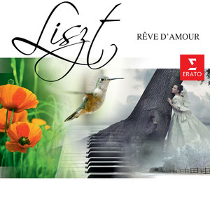 Rêve d'amour cover