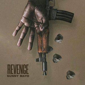 Revenge by Sunny Mayo