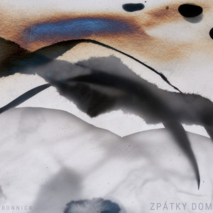Zpátky domů by Ironnick, Pingi