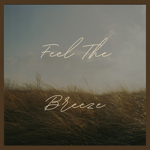 Feel the Breeze album