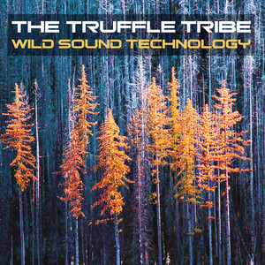 Uprising of the Stones by The Truffle Tribe