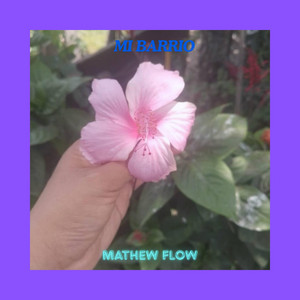 MI BARRIO by MATHEW FLOW