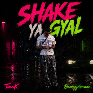 SHAKE YA GYAL by TimeK