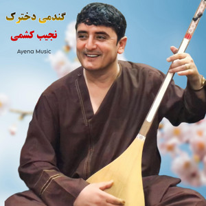 Najeeb Keshmi - گندمی دخترک