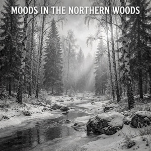 Moods In The Northern Woods by THE NORTHERN MOODS