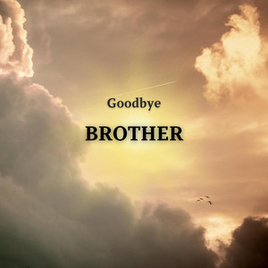 Обкладинка: Goodbye Brother (R.I.P Roman Petryk)