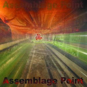 Assemblage Point