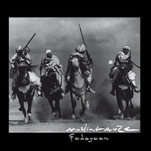 Fedayeen cover