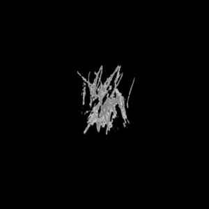 Lelїth — Двері