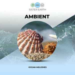 Ambient Ocean Melodies album