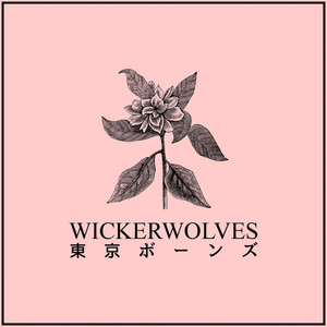 Throwaway by Wickerwolves