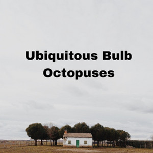 Florence Montgoomery - Ubiquitous Bulb Octopuses