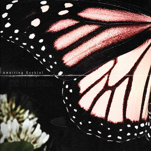 Grace for the Hopeless by Awaiting Eschiel