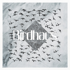 Monochrome by Birdhaus