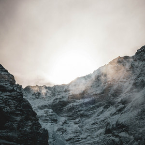 Piletrae by Veldt Echoes