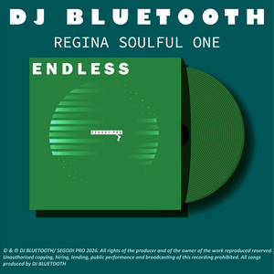Endless - Extended Mix by DJ Bluetooth, Regina Soulful One