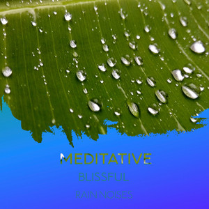 zZz Meditative Blissful Rain Noises zZz album