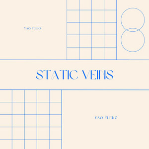 Static Veins by Yao Flekz
