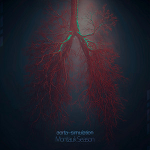 aorta simulation