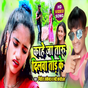 Kahe Ja Taru Dilwa Tor Ke - Bhojpuri Song
