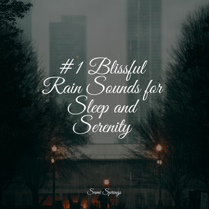 #1 Blissful Rain Sounds for Sleep and Serenity album