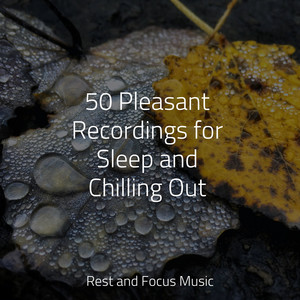 50 Pleasant Recordings for Sleep and Chilling Out album
