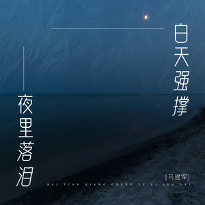 白天强撑夜里泪落