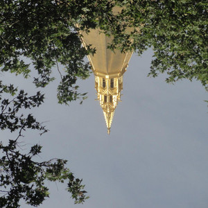 Missing by Prophet Tree
