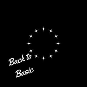 Back To Basic by The Groovist
