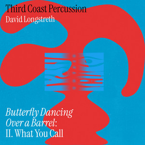 Butterfly Dancing Over a Barrel: II. What You Call by Third Coast Percussion, David Longstreth