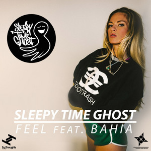 Feel (feat. Bahia) [Hylu Remix Instrumental] by Sleepy Time Ghost