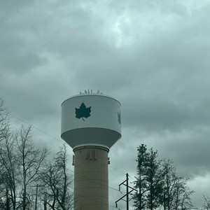 NØDDING ØFF by Abram Nesbitt