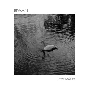 Swan - Radio Edit by Harmonik