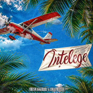 intelege by 13mathiasss, cheswaggerrr