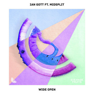 Wide Open by Ian Gott, Midsplit