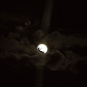 CO25 by RF