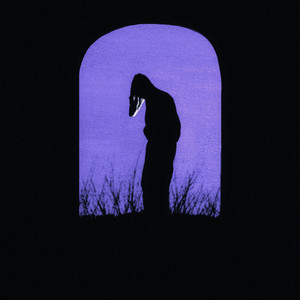Portada de Alligator