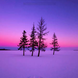 i could be the one by Stayunseen