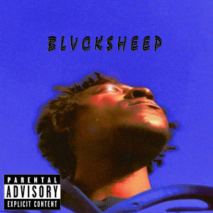 Blvcksheep